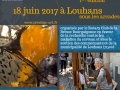 Exposition Rotary Club de Bourgogne à Louhans 2017